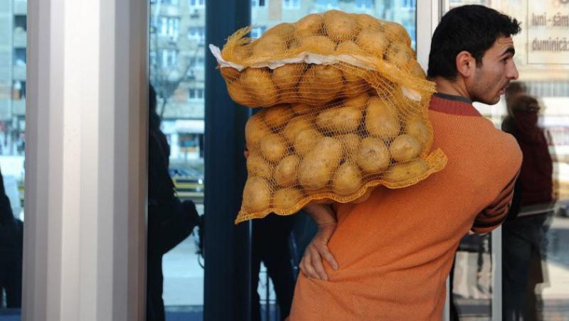 Cumparam cartofi de import, in timp ce productia romaneasca putrezeste in depozite