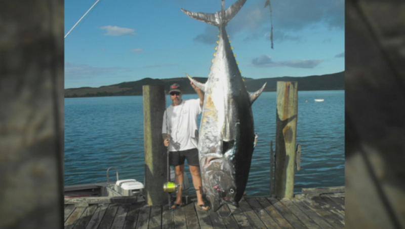 Noua Zeelanda: Un barbat a pescuit cel mai mare ton din lume!