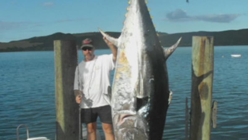 Noua Zeelanda: Un barbat a pescuit cel mai mare ton din lume!