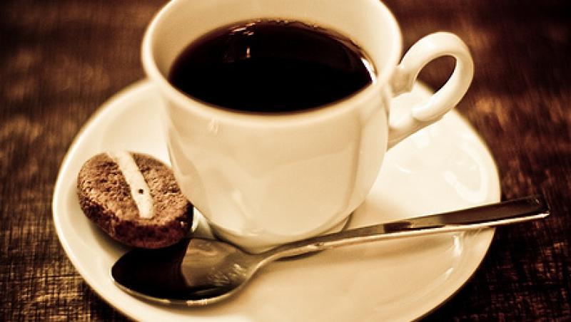 VIDEO! Camelccino: Cafeaua cu lapte de camila