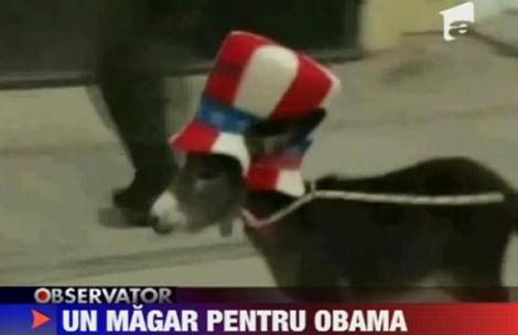 VIDEO! Spania: Un magar, cadou special pentru Barack Obama