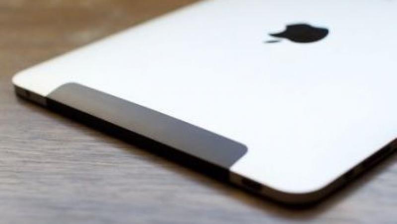 Apple doreste sa lanseze un iPad in varianta mini