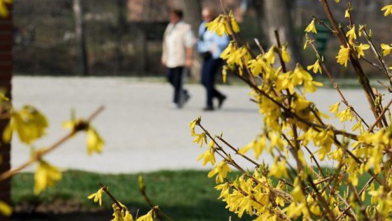 Cum va fi vremea pe 1 mai: Temperaturi peste cele normale si ploi relativ putine