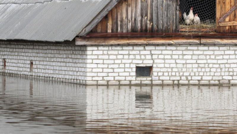 Inundatii devastatoare in Rusia! Peste o mie de gospodarii luate de ape si sute de oameni evacuati
