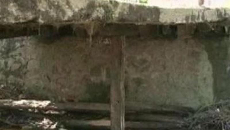Hotii de fier au inceput sa dezmembreze poduri in Hunedoara
