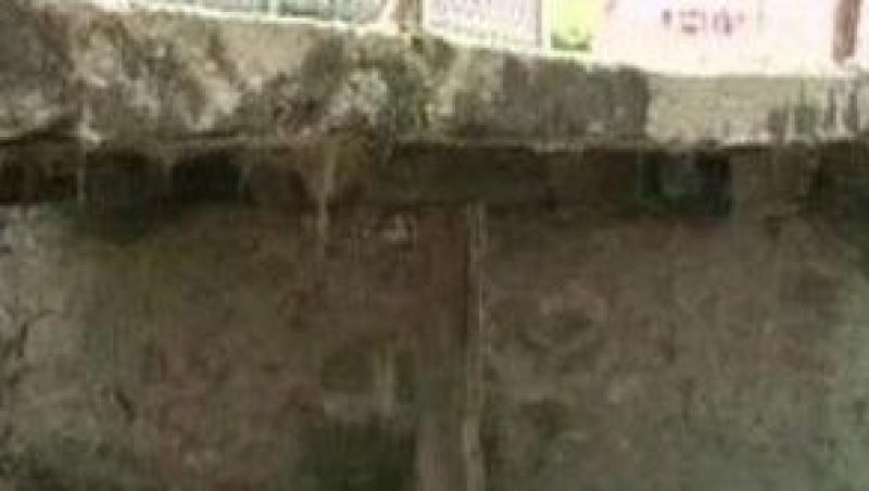 Hotii de fier au inceput sa dezmembreze poduri in Hunedoara