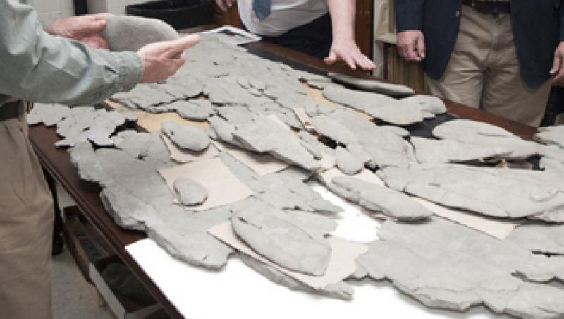 Un paleontolog amator a descoperit fosilele unui animal necunoscut pana acum