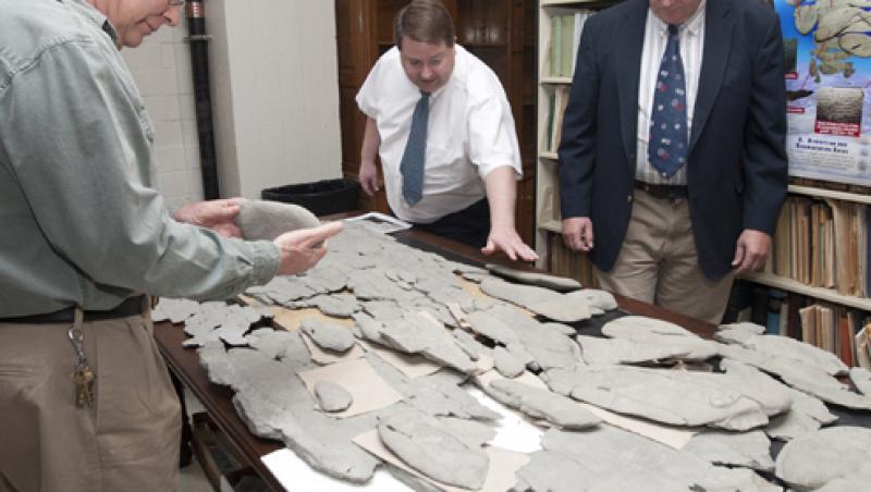 Un paleontolog amator a descoperit fosilele unui animal necunoscut pana acum