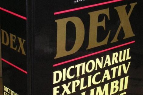Noul DEX: Definitiile cuvintelor "iubire", "homosexualitate" si "sodomie" au fost modificate