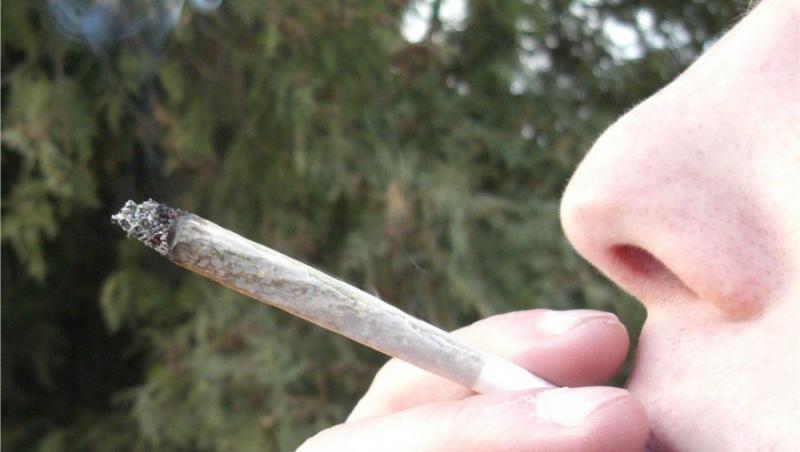 Consumul de cannabis, interzis turistilor din Olanda