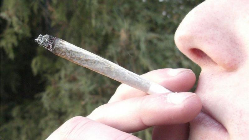Consumul de cannabis, interzis turistilor din Olanda