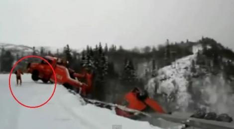 VIDEO! Norvegia: Un sofer a reusit sa sara din camion, inainte sa cada in prapastie