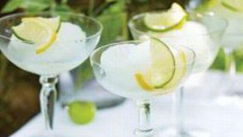 Bautura: Rețeta Sorbet de gin si apa tonica