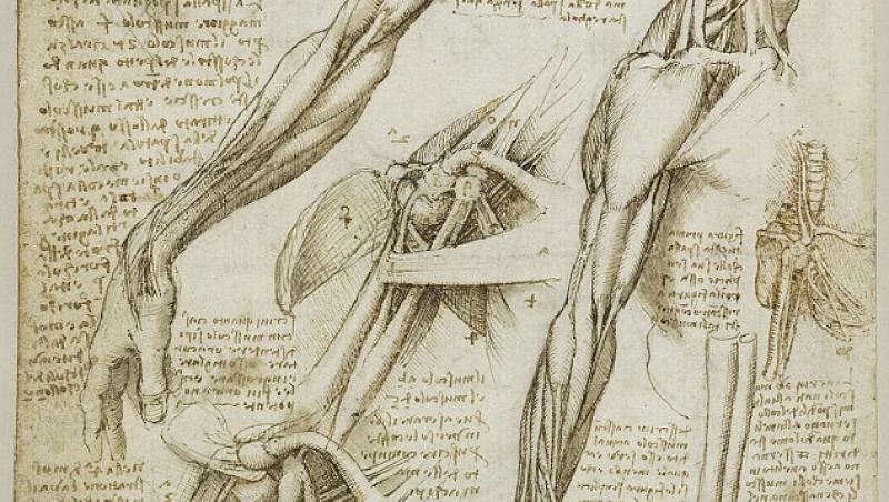 FOTO! Afla ce este LISTA lui Leonardo da Vinci!
