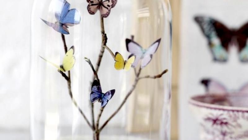 FOTO! Vezi ce decoratiuni pentru casa poti face folosind fluturi!