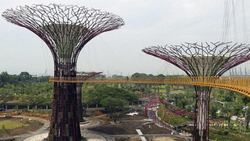 Padurea cu copaci din beton si metal, cea mai noua atractie turistica din Singapore