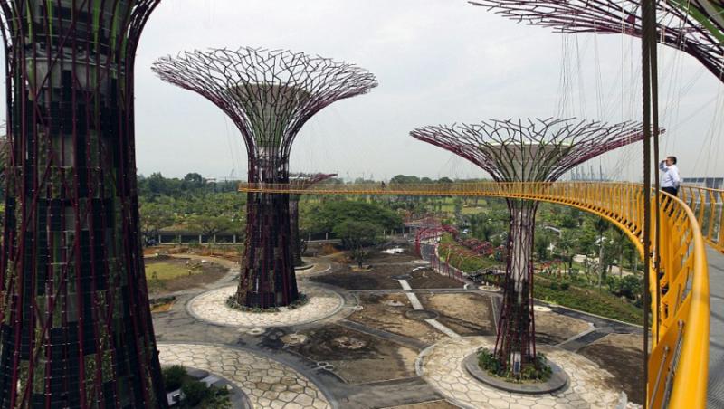 Padurea cu copaci din beton si metal, cea mai noua atractie turistica din Singapore