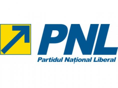 PNL Timis, acuzat de PNTCD si UNPR ca a furat startul campaniei electorale