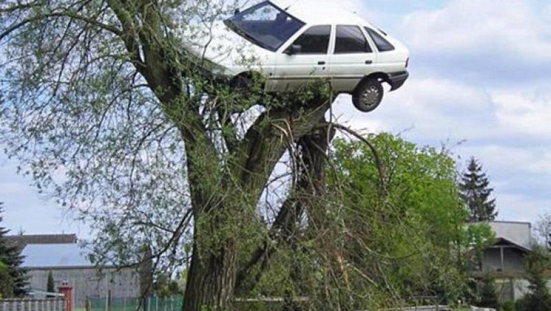 I-au urcat masina in copac pentru ca are un stil de condus periculos