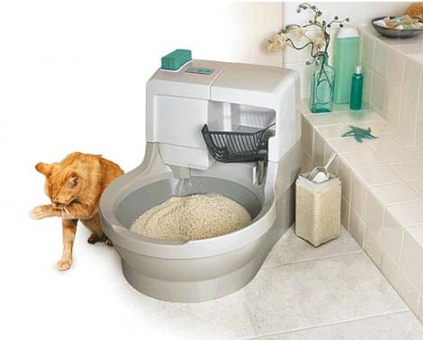 S-a inventat litiera pentru pisici care se curata singura
