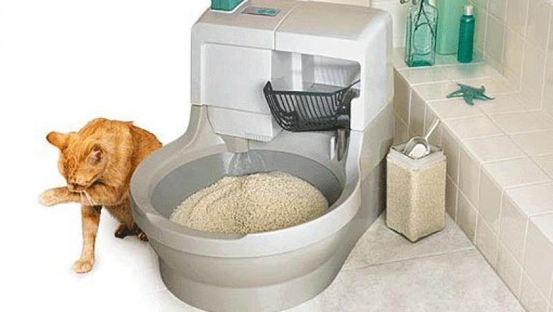 S-a inventat litiera pentru pisici care se curata singura