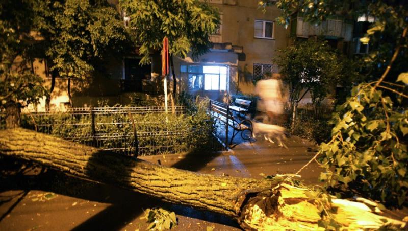 VIDEO! Furtuna a facut prapad in Romania