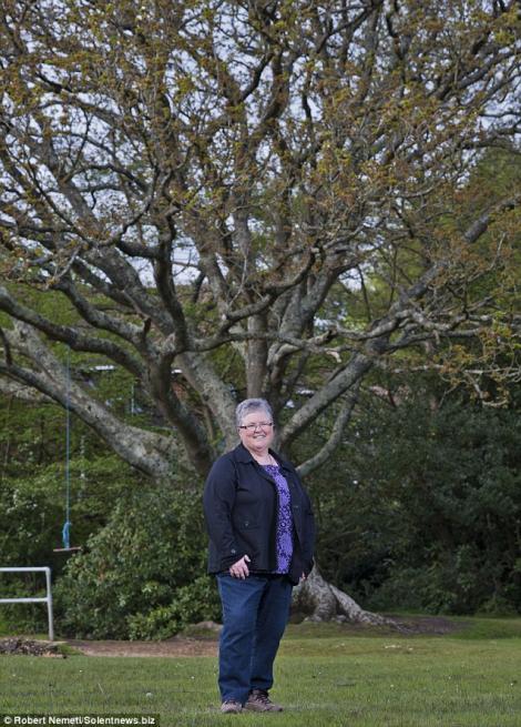 O femeie calatoreste 11.200 de kilometri anual pentru a-si vizita copacul preferat