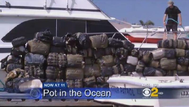 VIDEO! Patru tone de marijuana, descoperite in Oceanul Pacific. Vezi cat valoreaza!