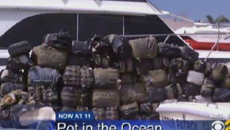 VIDEO! Patru tone de marijuana, descoperite in Oceanul Pacific. Vezi cat valoreaza!