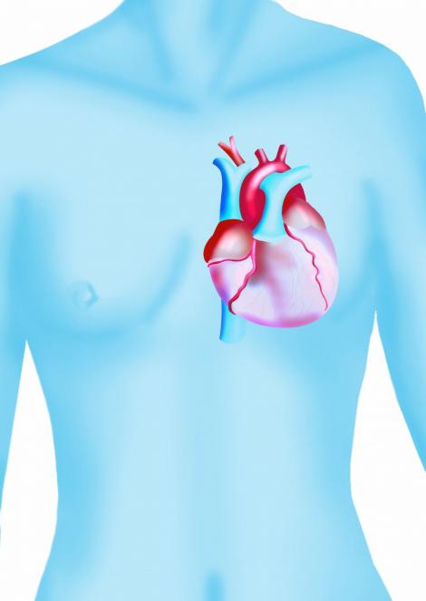 Oamenii de stiinta au creat in laborator tesut muscular cardiac