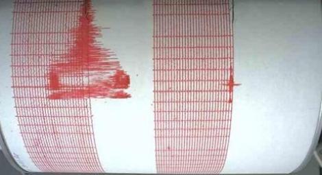 VIDEO! Cutremur in Vrancea de 4,1 pe scara Reichter