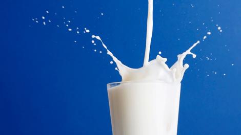 Din 2015, laptele romanesc se va gasi cu greu in magazine