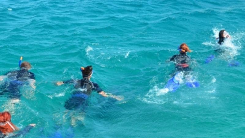 Pretendentele Burlacului fac snorkeling in Egipt! Vezi diseara cum se distreaza fetele!