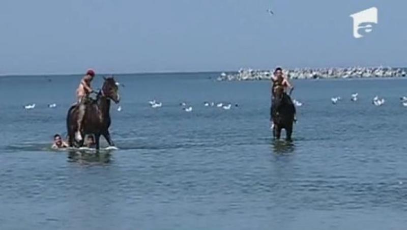 VIDEO! Spectacol pe litoral: Un barbat si-a scaldat caii in mare
