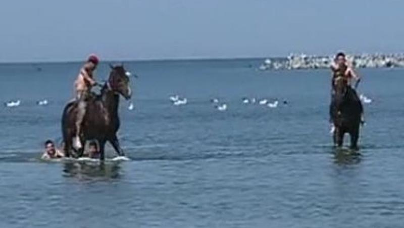 VIDEO! Spectacol pe litoral: Un barbat si-a scaldat caii in mare