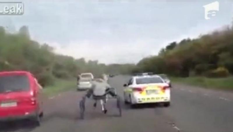 VIDEO! Cursa nebuna cu cai, pe o autostrada din Irlanda