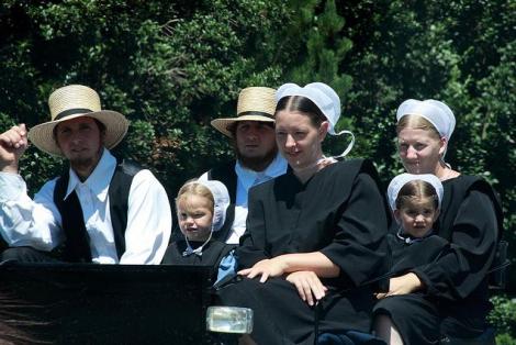 Copiii Amish sunt aproape imuni la astm si alergii