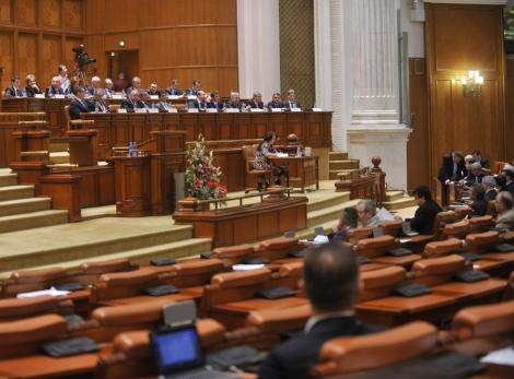Parlamentul a adoptat Legea Amnistiei Fiscale
