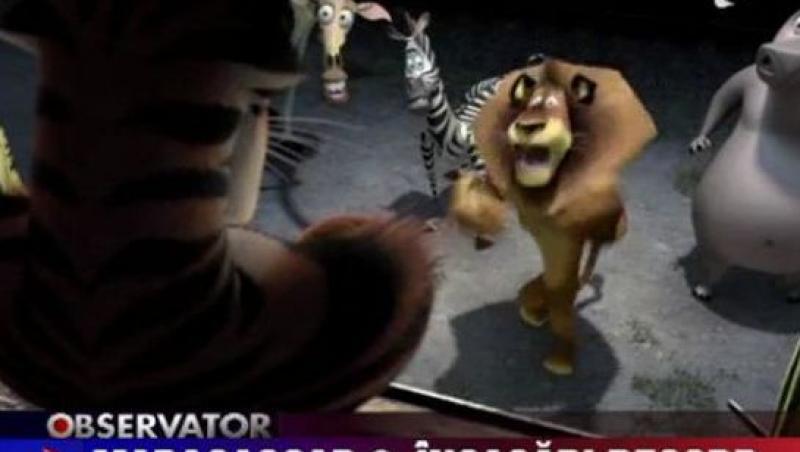 VIDEO! Incasari record pentru filmul de animatie Madagascar 3