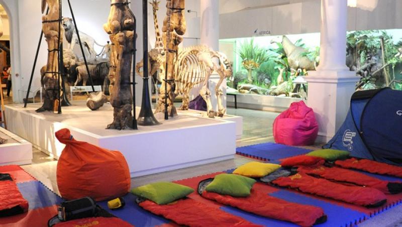 Muzeul Antipa va relua programul 