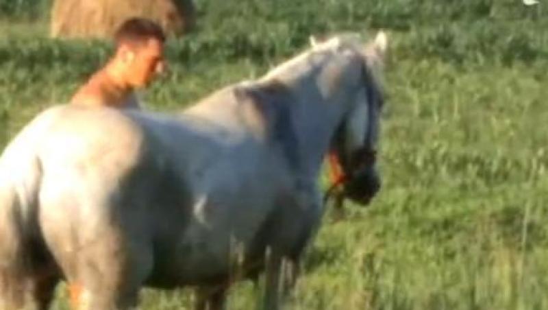 VIDEO! Cluj: Pompierii au salvat un cal blocat pe sinele de cale ferata