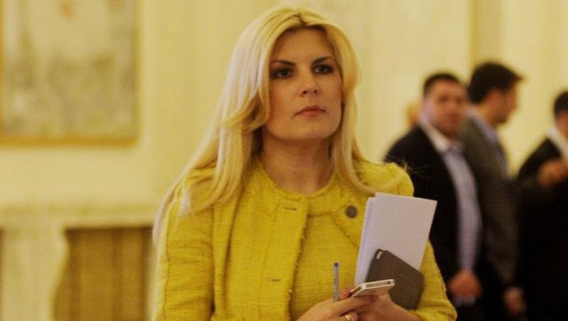 Elena Udrea, acuzata de plagiat