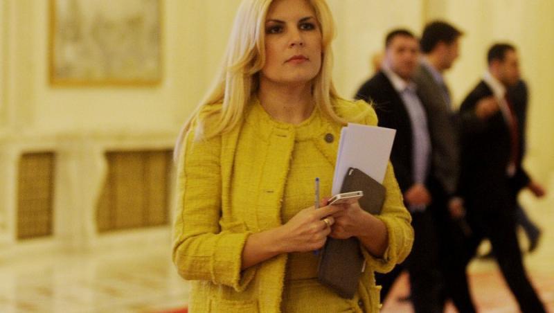 Elena Udrea, acuzata de plagiat