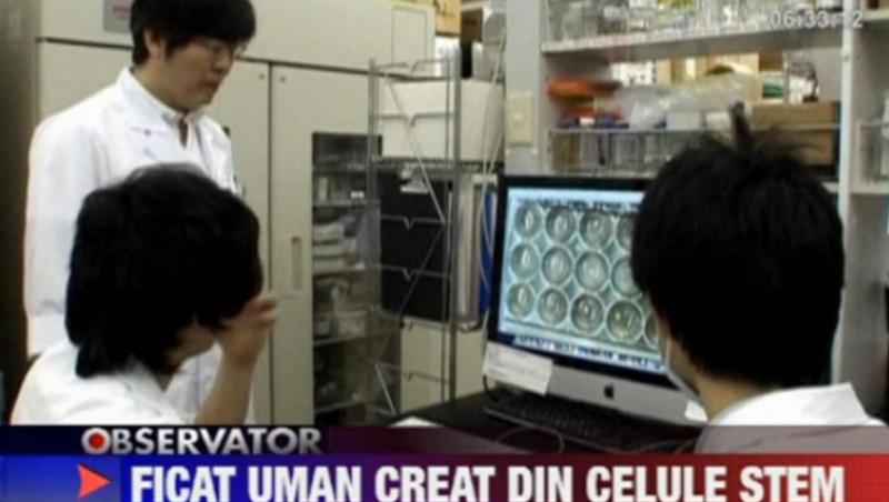 Japonezii au dezvoltat un ficat uman din celule stem