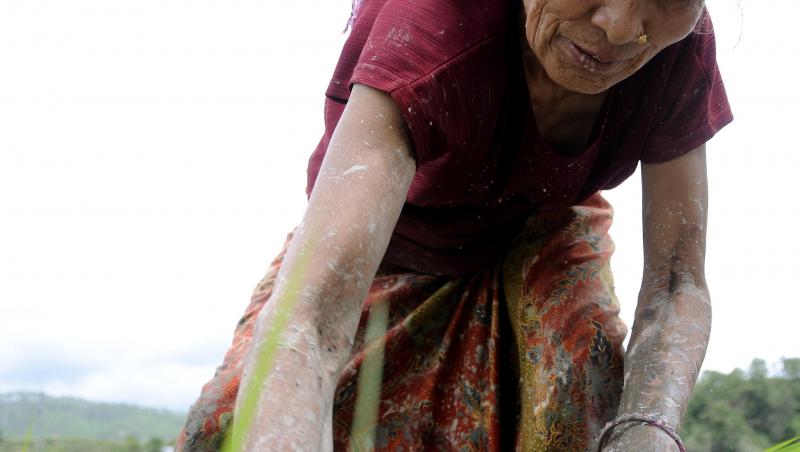 FOTO! Imagini de colectie: Fermierii din Nepal, dincolo de tehnologie