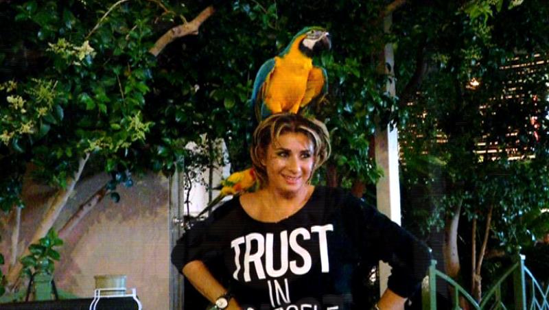 Anamaria Prodan a tras o sperietura pe cinste in Las Vegas! Vezi ce i-a facut un papagal nastrusnic!