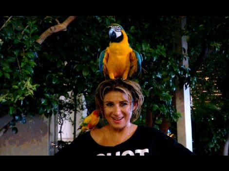 Anamaria Prodan a tras o sperietura pe cinste in Las Vegas! Vezi ce i-a facut un papagal nastrusnic!