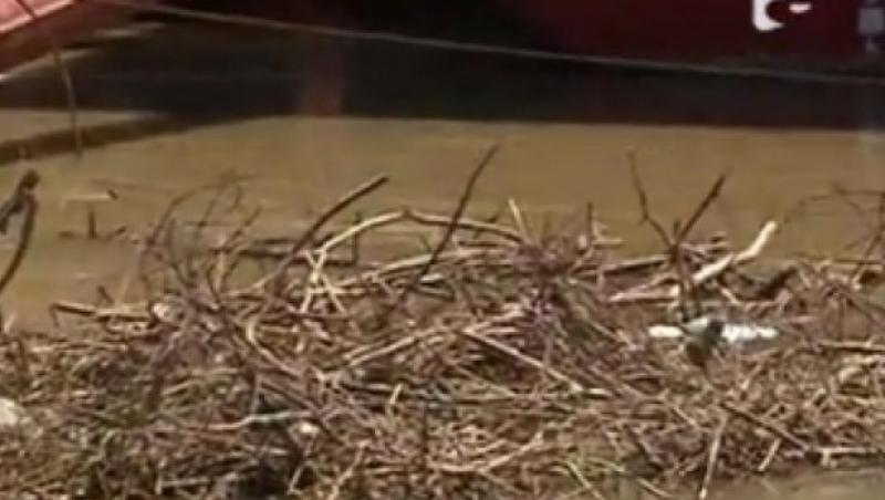 VIDEO! Dunarea a fost invadata de gunoaie