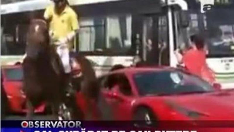 VIDEO! Un cal suparat a lovit cu copita un Ferrari