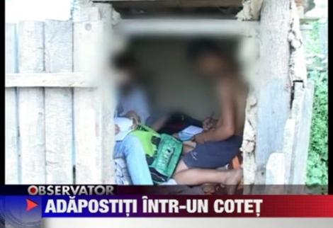 VIDEO! Bacau: Doi copii dorm in cotet, cu animalele, dupa ce ploaia le-a distrus casa